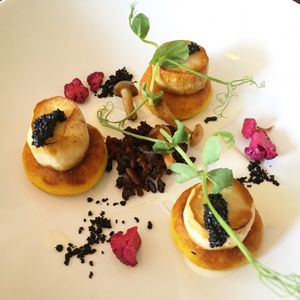 King Trumpet mushroom scallops & dill potato cakes  at Coca Sova in Dublin