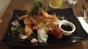 Starter at Coca Sova in Dublin