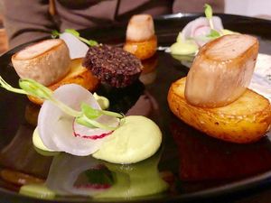 Scallops starter at Coca Sova in Dublin