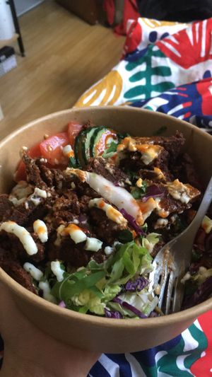 kebab bowl at Coca Sova in Dublin