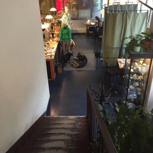 mamacoffee at Mamacoffee in Prague