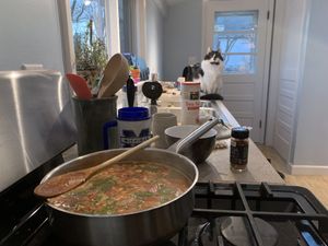 Preparing soup from Purple Carrot with my sous-chef, Henry 😻  at The Purple Carrot in Needham Heights