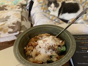 Creamy Artichoke Orzotto (with Simon) 😻🥣👩🏼‍🍳  at The Purple Carrot in Needham Heights