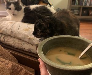Pumpkin ramen! Simon & Darwin approve 😻🥣🎃  at The Purple Carrot in Needham Heights