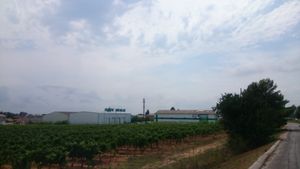 Outside at Biocoop L'Onde Bio in La Londe-les-maures