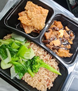 Brown Rice with Braised assorted mushrooms and fried Dumplings ~ 10/01/23 at Onn Vegetarian 安顺素食 in Central Singapore