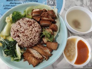 "Yuan-yang" chicken rice
 鸳鸯鸡饭
 at Onn Vegetarian 安顺素食 in Central Singapore