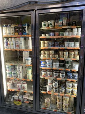 Some nondairy yogurt at Save-U-More in Homer