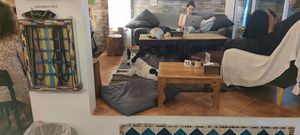 Interior with dog at Eat.Co in Koh Phangan