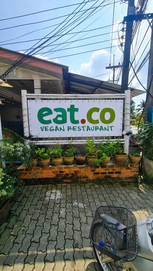 Eat.co #Veganuary at Eat.Co in Koh Phangan