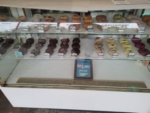 Huge variety of vegan cake donuts at Coffee Conscious in Berkeley