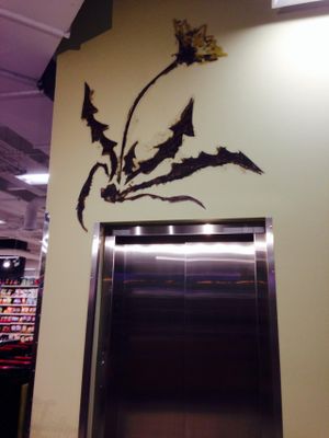 Elevator to garage parking at MOM's Organic Market Cafe in Washington