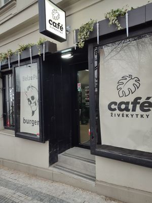  at Belzepub in Prague