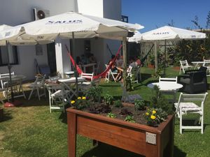 Our amazing garden, a summer oasis at Rincon Verde in Jose Ignacio