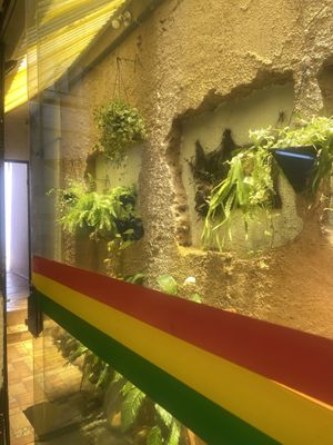   at Mount Zion Vegano in Sao Paulo