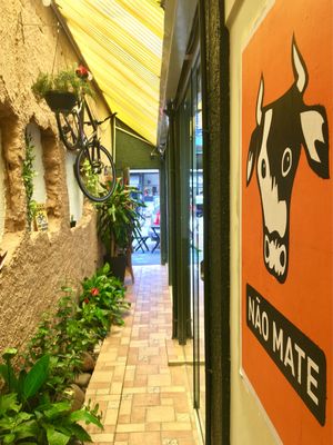 Cute hall with suspended bike & flowers & cruelty free art  at Mount Zion Vegano in Sao Paulo