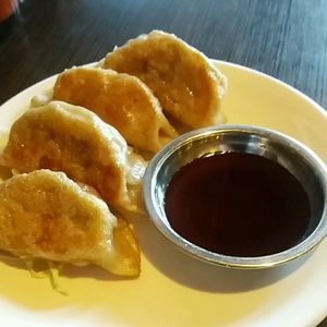 Pot stickers at Indochine Vegan in San Francisco