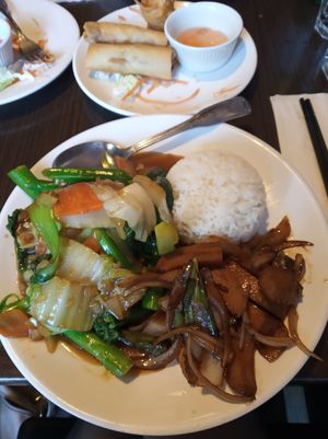 Teriyaki "chicken" with rice at Indochine Vegan in San Francisco