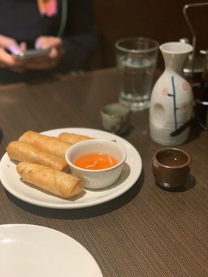 Crispy Spring Rolls at Indochine Vegan in San Francisco
