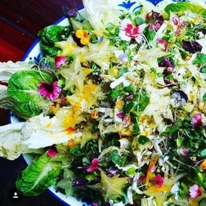 Grub and Grog at Grub and Grog Shop in Leeds