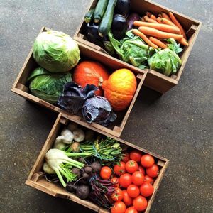 Grub and Grog at Grub and Grog Shop in Leeds