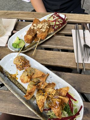 Saté tofu and fried dumplings at Cat Tuong in Berlin
