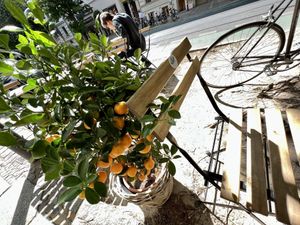 outside  at Cat Tuong in Berlin