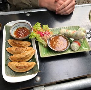 Gyoza and summer rolls with peanut sauce at Cat Tuong in Berlin