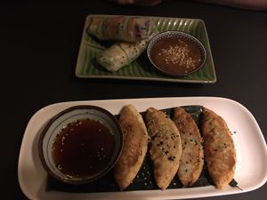summer rolls and gyoza at Cat Tuong in Berlin