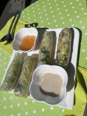 Sommerrollen und Rollen mit Veggie-Fisch  at Well Being II in Cologne