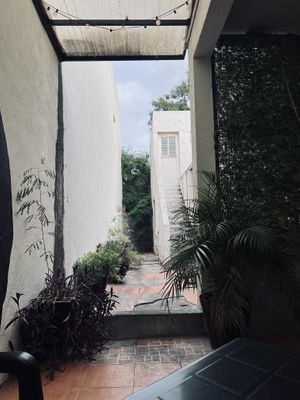   at VeganMunch in Monterrey