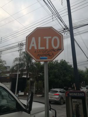 Sign outside 💪 at VeganMunch in Monterrey
