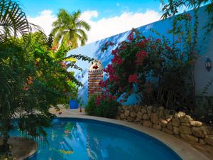 Our back patio is where you can enjoy our refreshing swimming pool and the shade of an old mango tree.  at Hotel MedioMundo in Merida