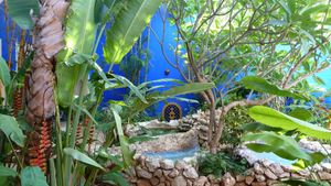 The tropical garden central patio with a water fountain.  at Hotel MedioMundo in Merida