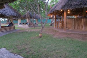 Coco Beach at Coco Beach in 