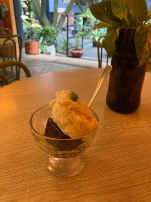 Brownie with ice cream at Veg Station in Medellin