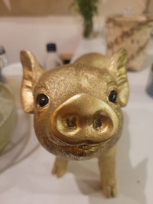 golden piggy❤🤣 at Veg Station in Medellin
