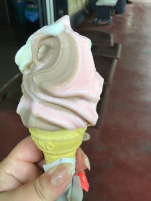 Triple swirl ice cream   at The Soya Centre in Kandy