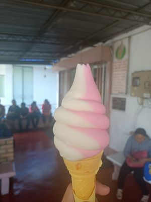 Vanilla and strawberry at The Soya Centre in Kandy