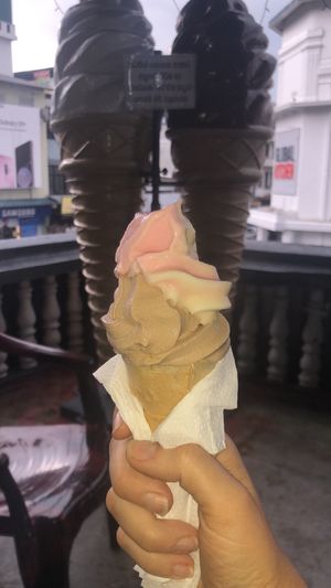 Soy ice cream at The Soya Centre in Kandy