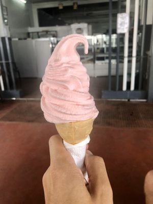 Strawberry ice cream at The Soya Centre in Kandy