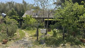   at Araki Natural Bakery Shop in Nara