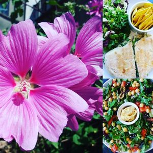 Collage  at Crimson Rhino in Aberystwyth