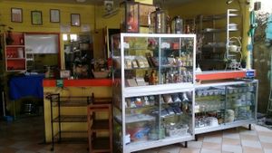 reception area at Bubbles Live in Chiang Mai