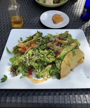 Tacos with avocado and salad  at Frucht and Genuss in Dusseldorf