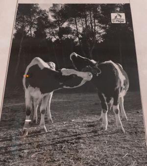 💚💚 at El Vergel Veggie Restaurant in Tarragona