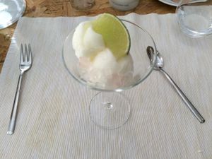 Lime sorbet with agar-agar vegan gelatin cubes at El Vergel Veggie Restaurant in Tarragona