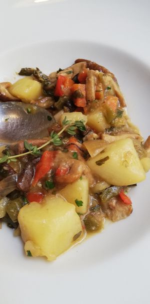 Estofat at El Vergel Veggie Restaurant in Tarragona