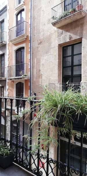 Vistes at El Vergel Veggie Restaurant in Tarragona