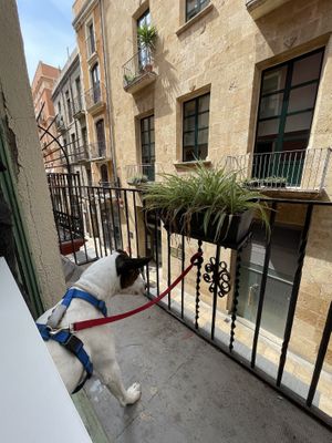 Per friendly  at El Vergel Veggie Restaurant in Tarragona
